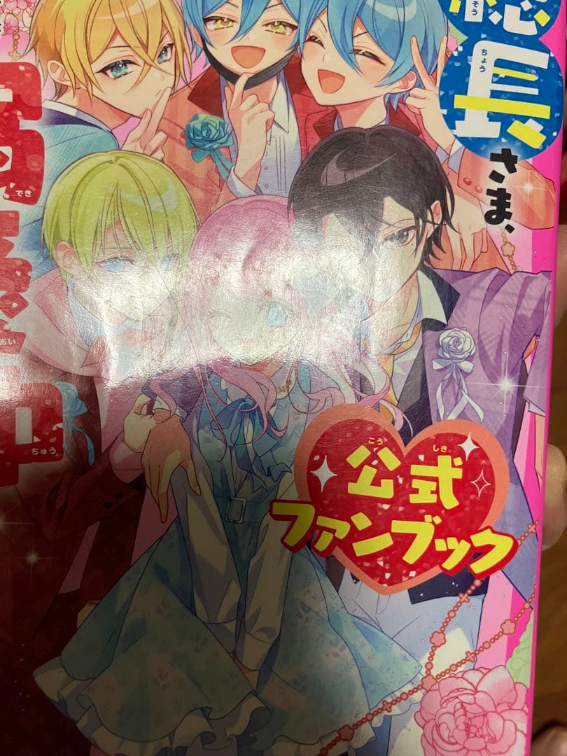 総長さまは溺愛中につき　1〜14 吸血鬼と薔薇少女　1〜5 他　4冊　セット