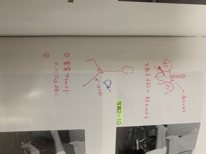目でみる　手技療法の奥伝