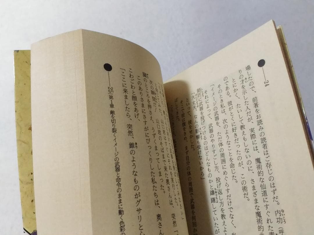 仙道魔術遁甲の法 ムー・スーパー・ミステリー・ブックス 新書 高藤聡一郎
