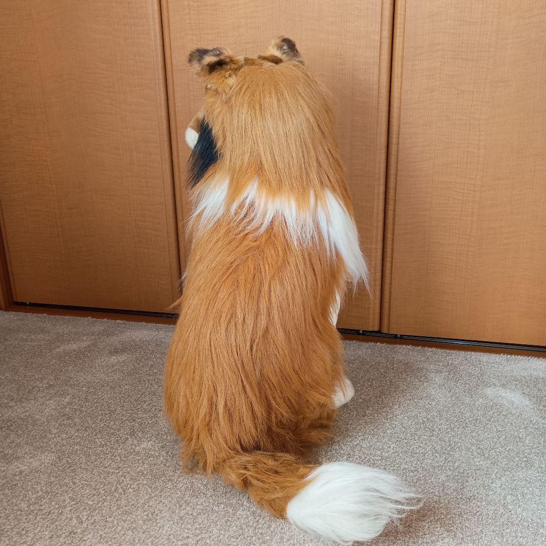 シェルティ　コリー犬 ぬいぐるみ 大きめ
