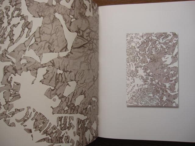 MORPHOSIS　KOHEI NAWA　名和晃平
