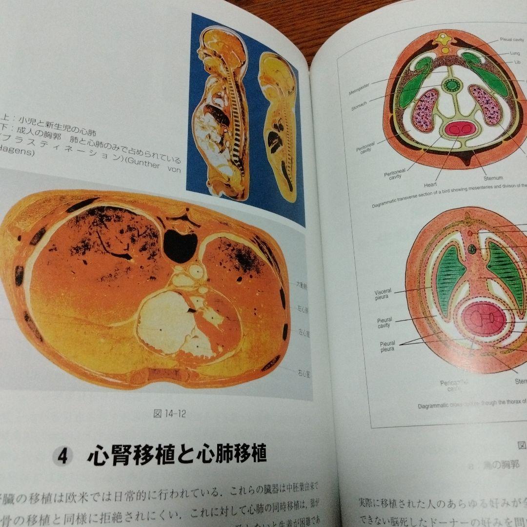 重力対応進化学 : 現代医学の盲点と生命科学の統一理論 : 新しい医学・生命科…