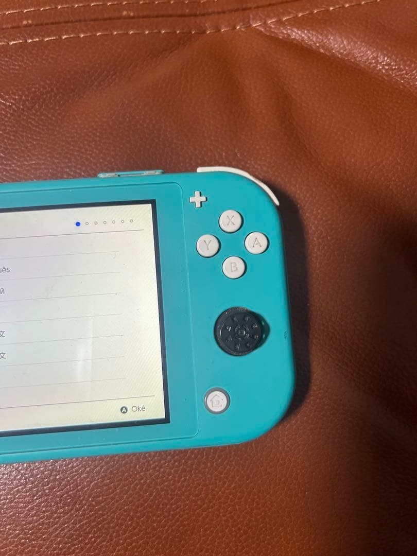 か*な様 Nintendo Switch Lite ターコイズ