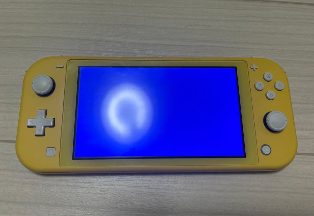 Nintendo Switch Lite 本体 ジャンク