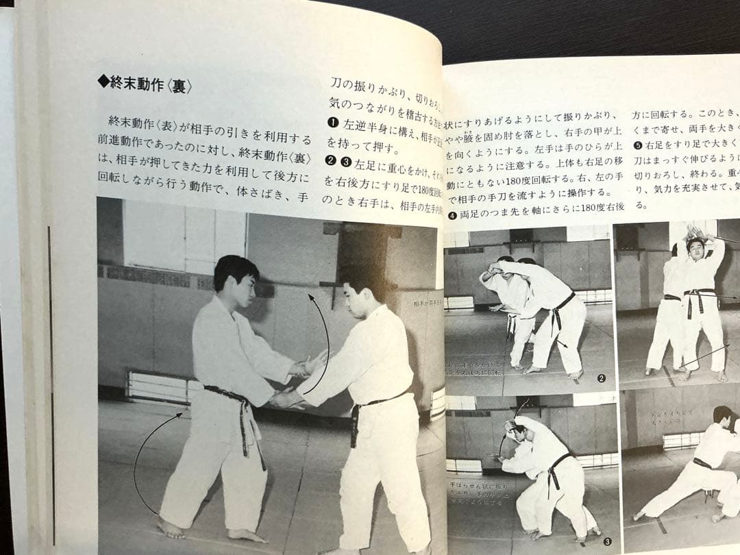 図解 合気道入門 【希少本】【2002年】