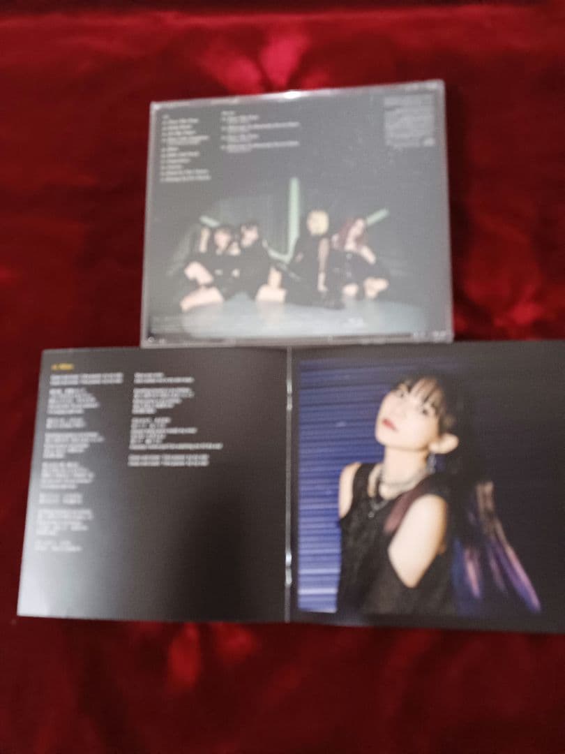 t*n様 Lonesome Blue 成美在籍時のCD&ブルーレイ2枚