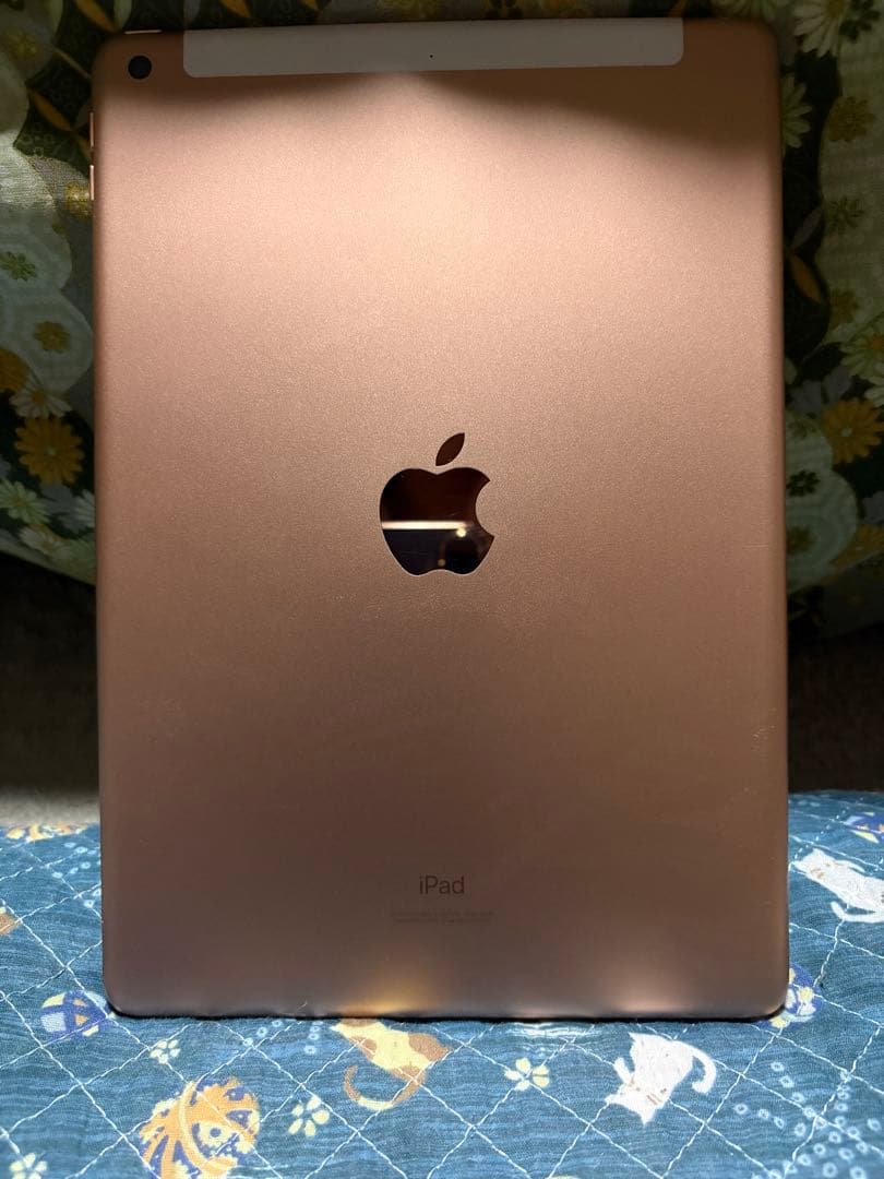 iPad ゴールド 本体のみ