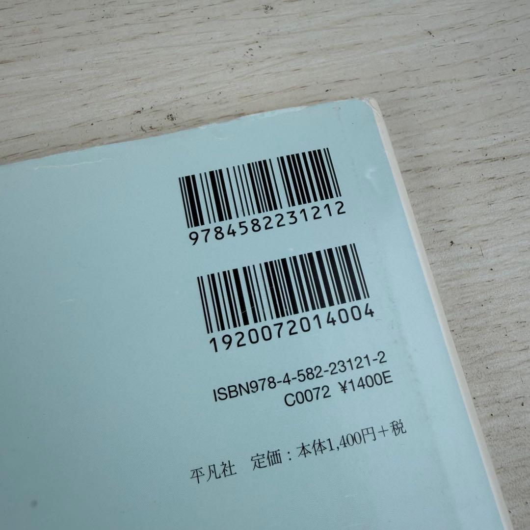 たのしい写真 2 (ポートレイト市川実日子) ホンマタカシ