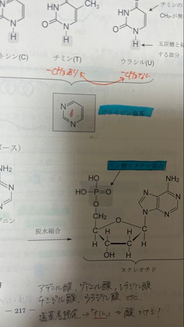 駿台 高3選抜医系化学 2025/2026