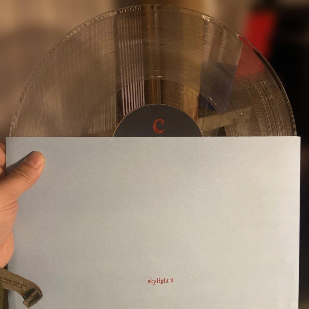 Pinegrove - skylight レコード