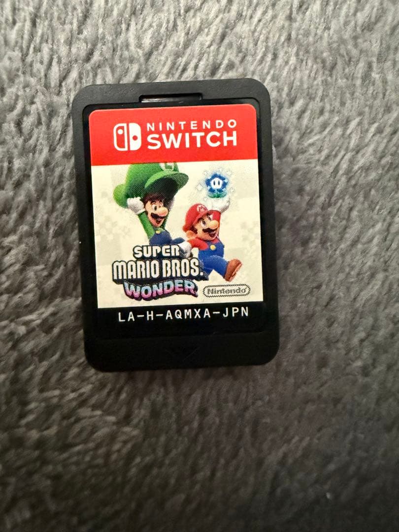 Switchカセット （ミサキ）