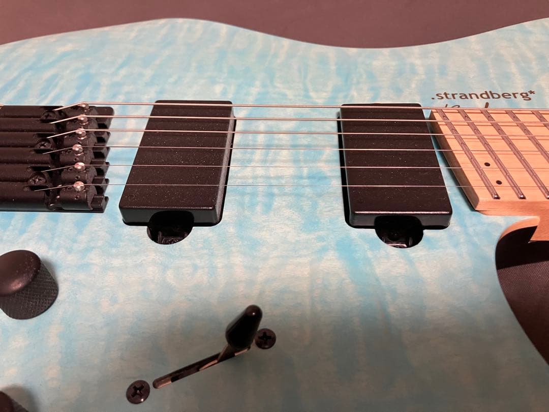 Strandberg Boden RAS6 Bang Dream! コラボ
