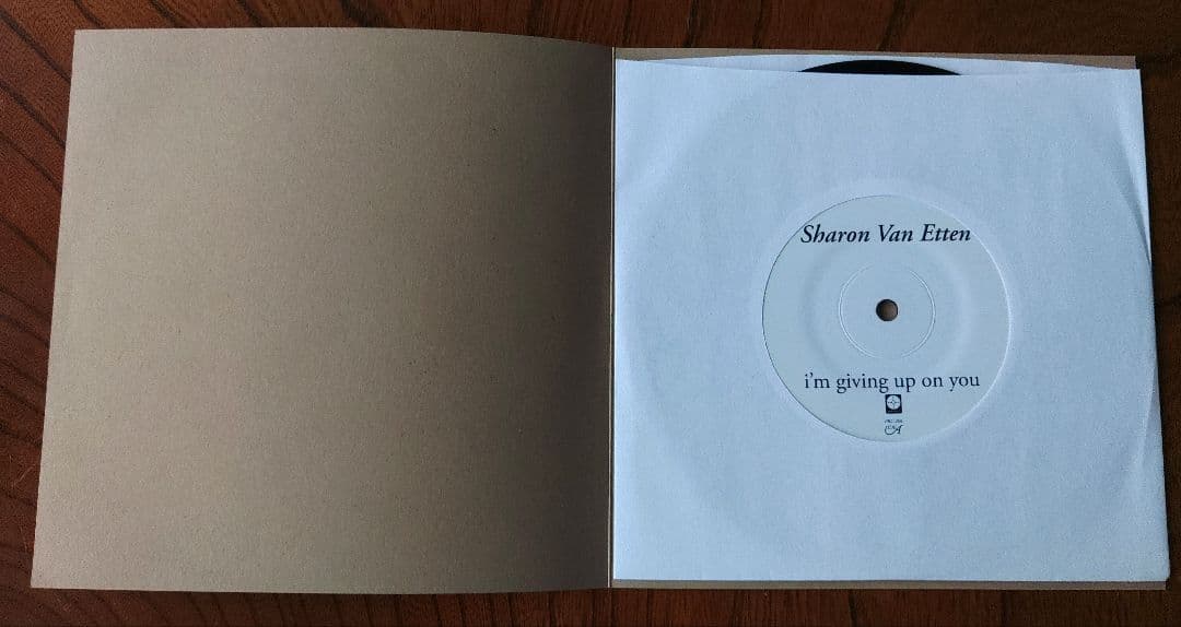 Sharon Van Etten シャロン・ヴァン・エッテン 7インチ レコード
