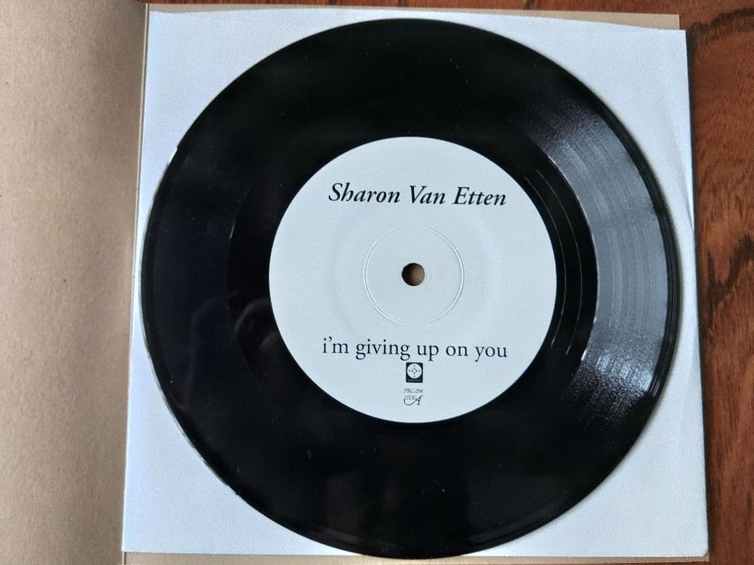 Sharon Van Etten シャロン・ヴァン・エッテン 7インチ レコード