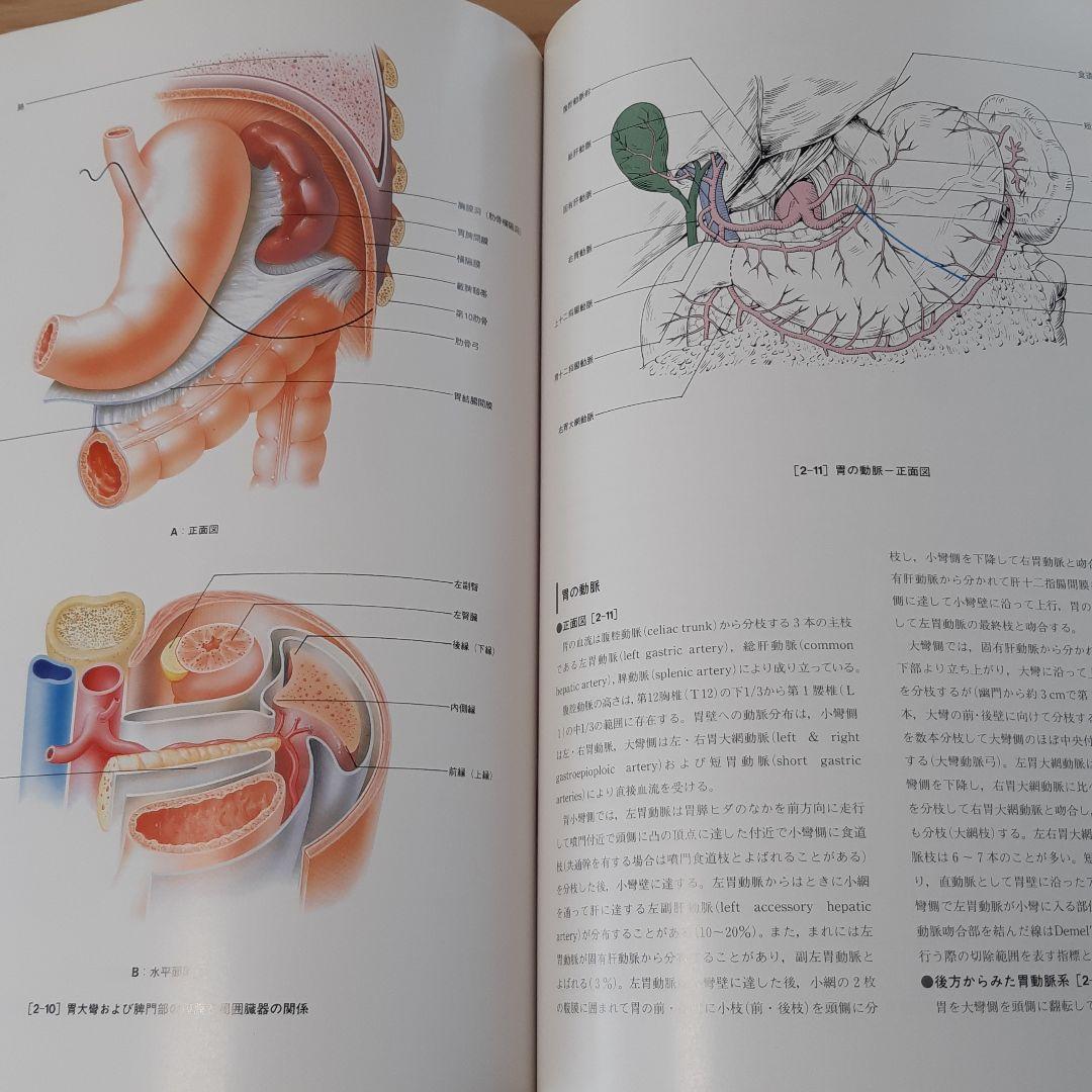 消化器外科手術のための解剖学-食道,胃・十二指腸,腹壁・ヘルニア