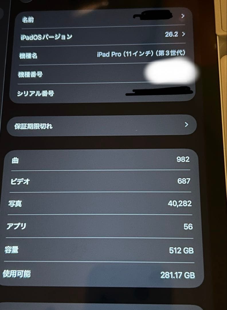 iPadPro11インチ (第3世代) 512GB ドット抜け要確認