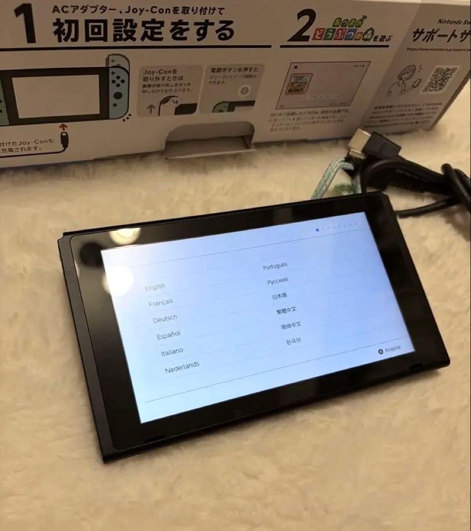 Nintendo Switch あつまれ どうぶつの森デザイン　ソフトなし