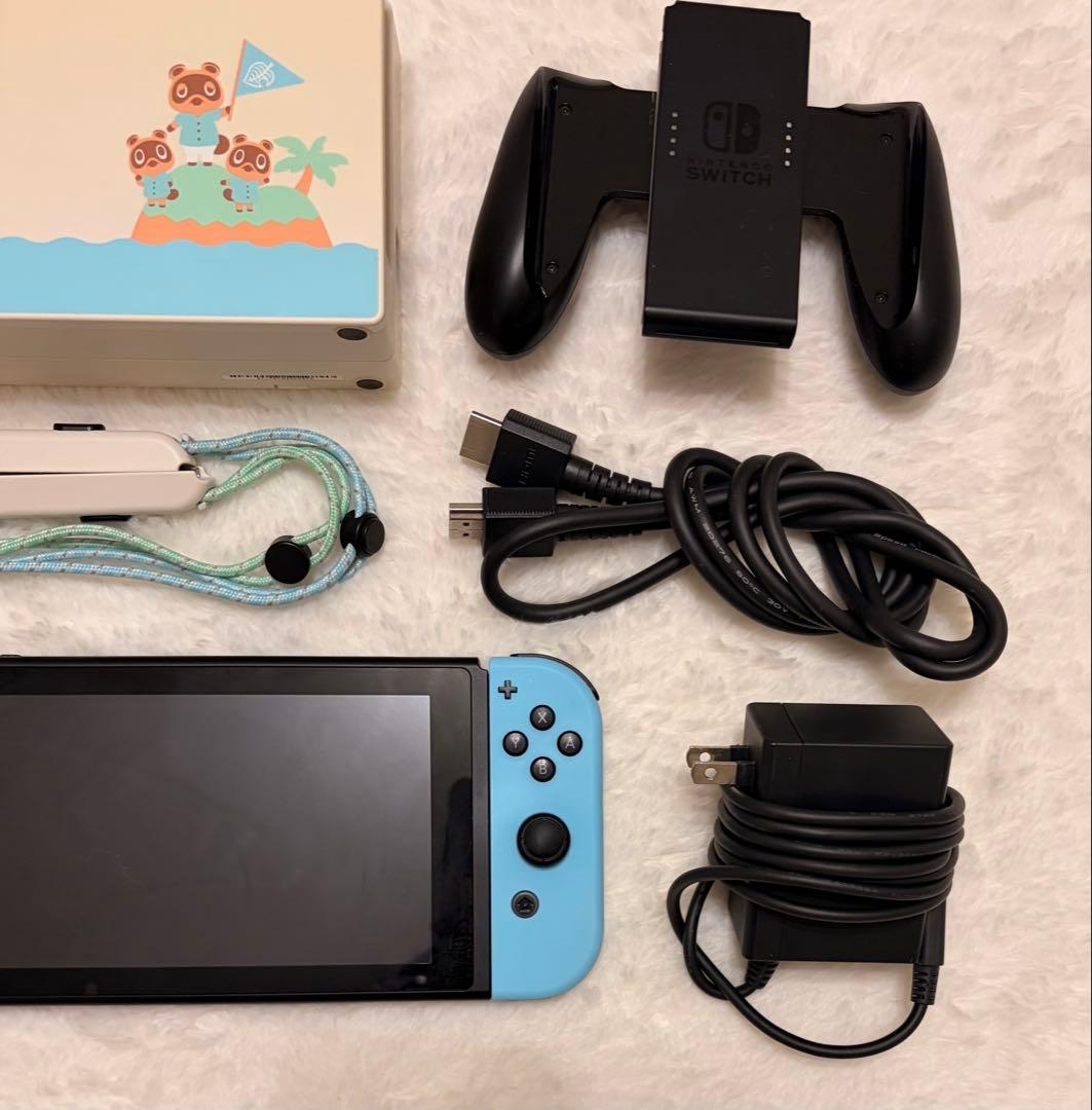 Nintendo Switch あつまれ どうぶつの森デザイン　ソフトなし
