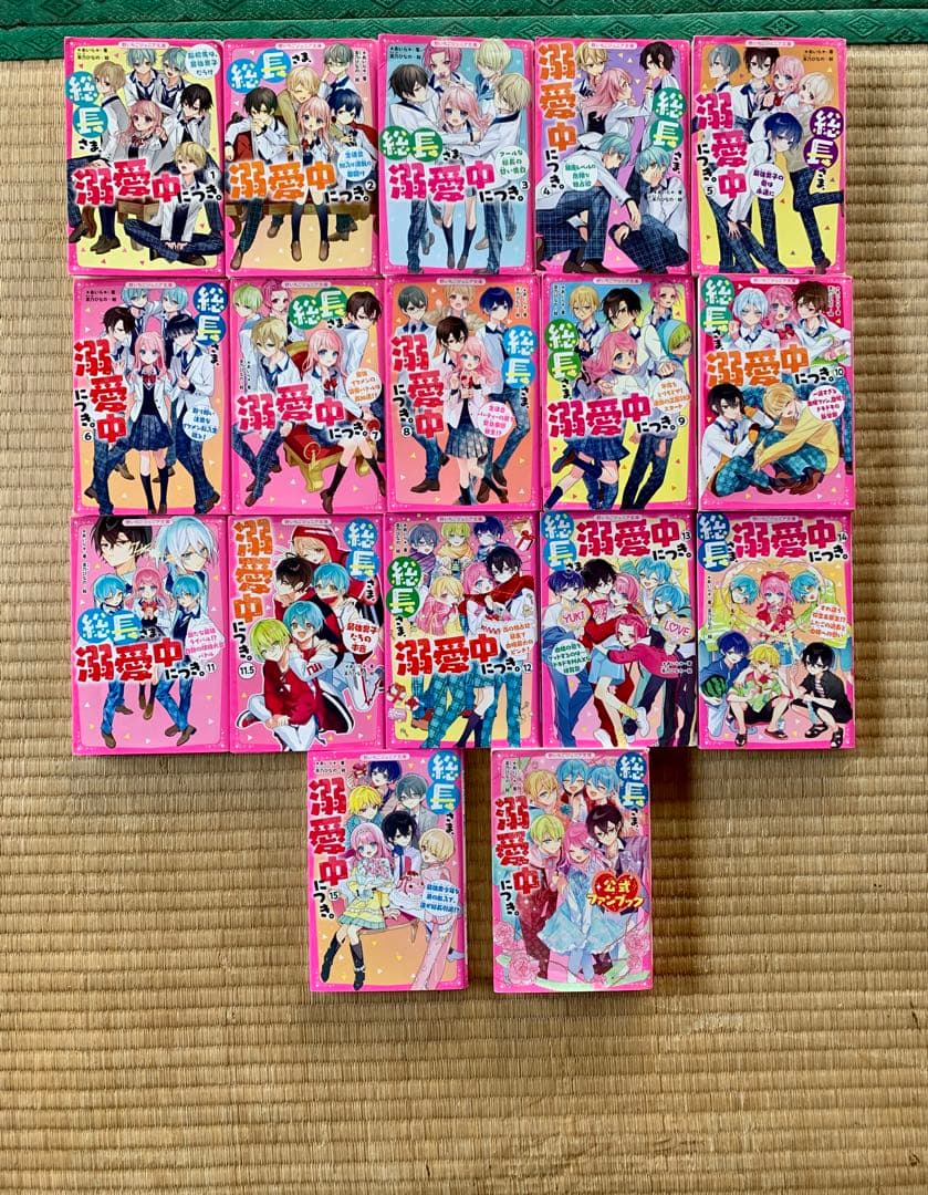 総長さま、溺愛中につき　全巻　1-15巻　＋ファンブック