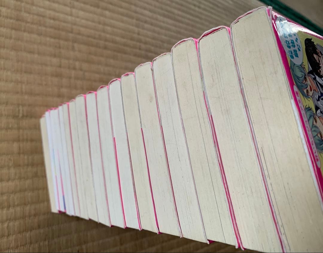 総長さま、溺愛中につき　全巻　1-15巻　＋ファンブック