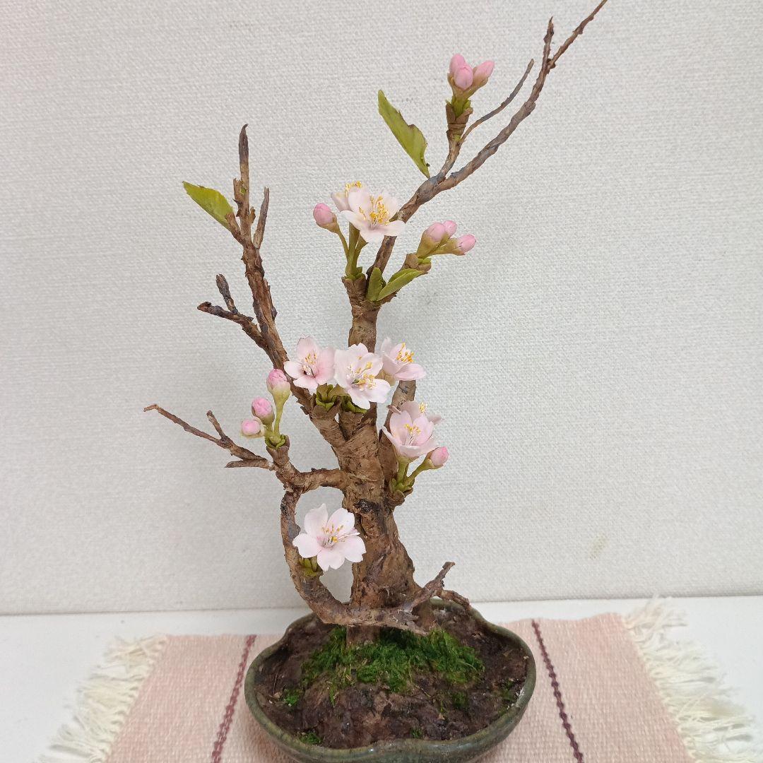 専用　桜の盆栽　樹脂粘土 　　　　　クレイフラワー