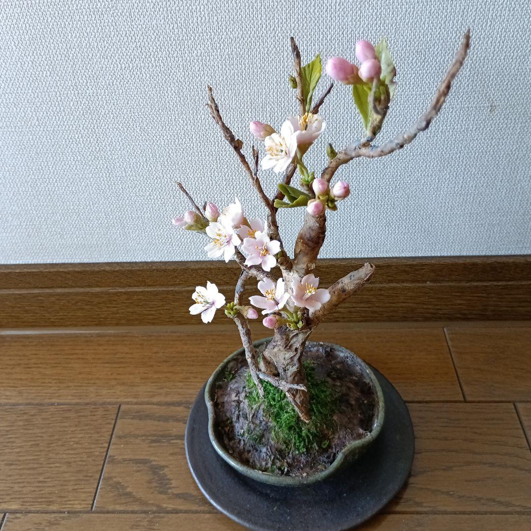 専用　桜の盆栽　樹脂粘土 　　　　　クレイフラワー