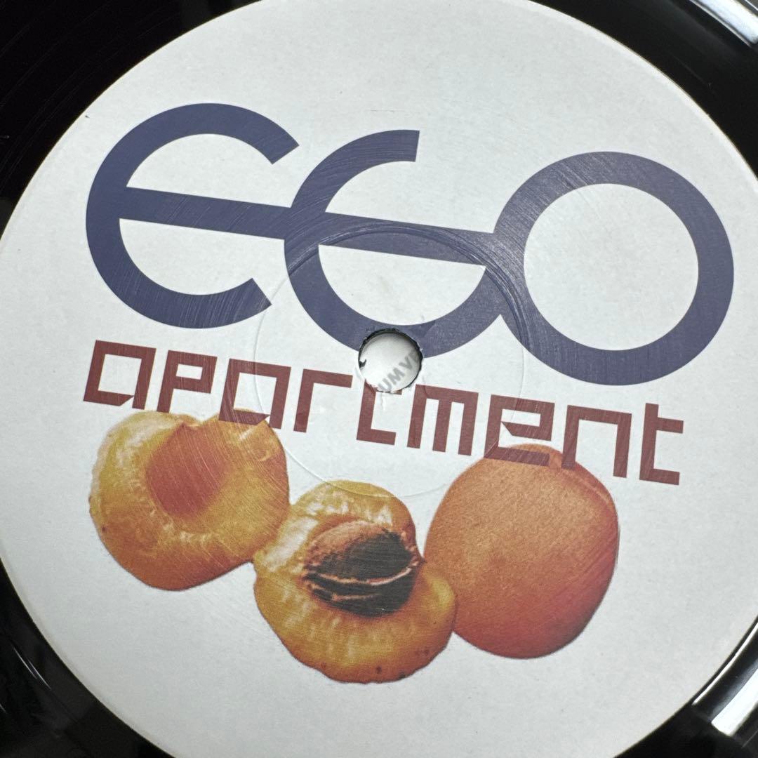 ego apartment EGO APARTMENT 2LPレコード新品同様