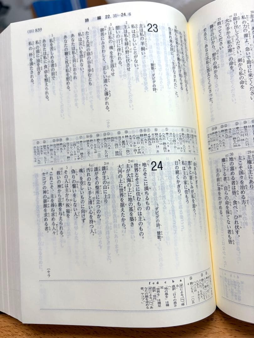 聖書協会共同訳聖書 中型　引用・注付き