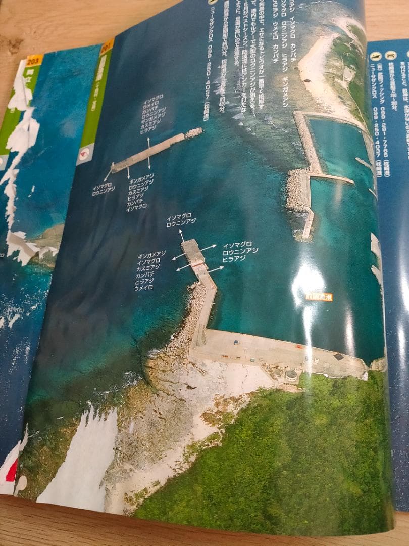 ※訳アリ　鹿児島の海釣り : 空から見たベストポイント : 最新版 薩摩半島と離