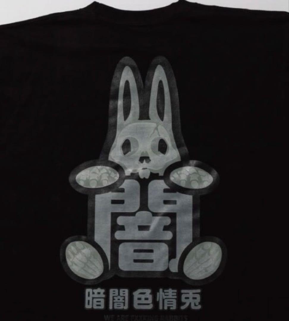 京都限定　FR2 闇　Glow In The Dark T-shirt 兎