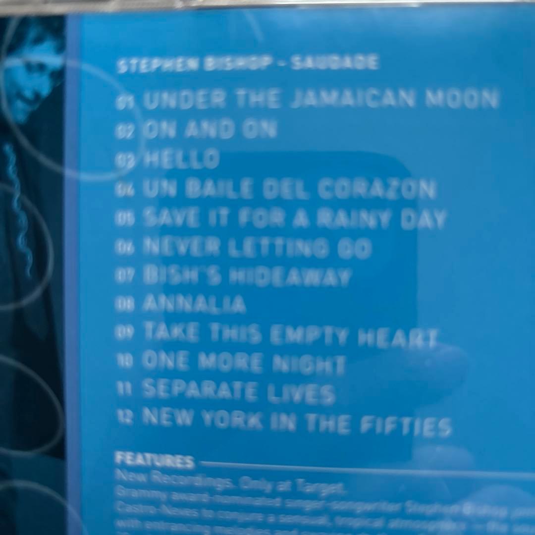 洋楽 Stephen Bishop Saudade