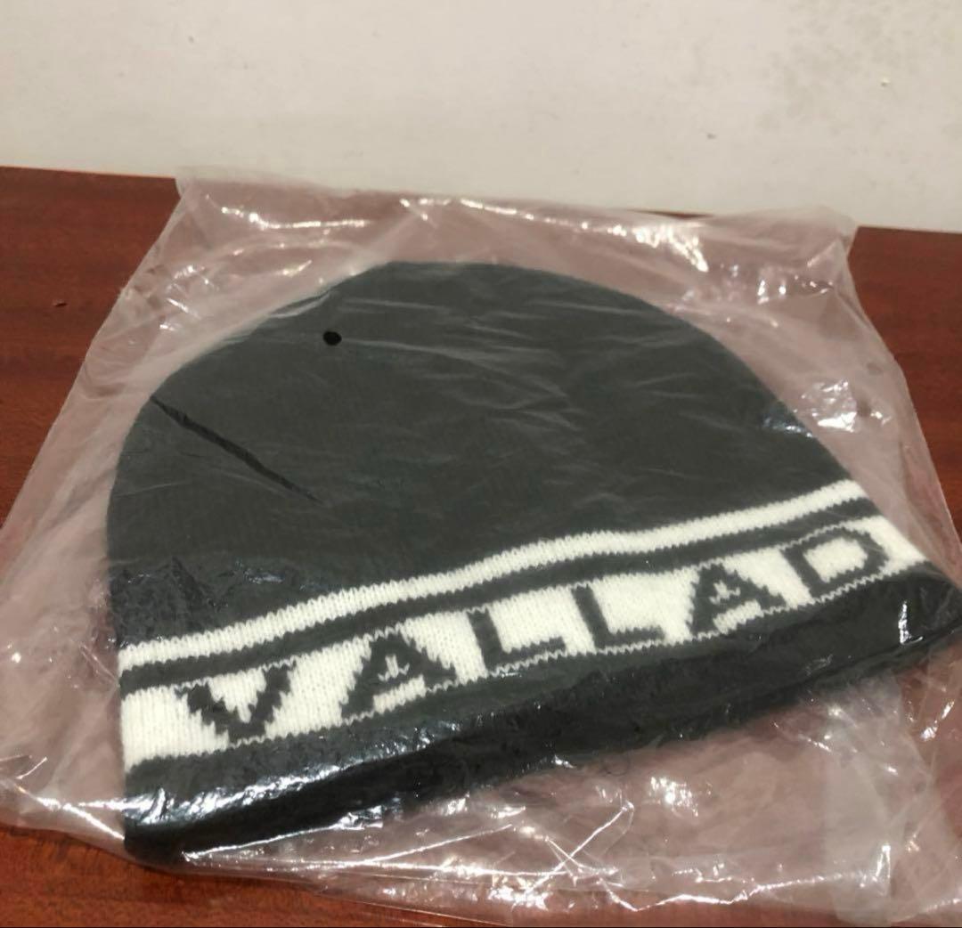 アクティバイタルvalladビーニー　io着用
