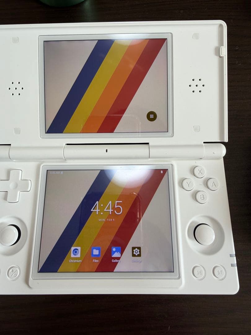 その他 RG DS