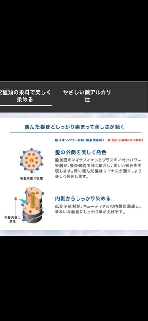 LPLPヘアカラートリートメント　モカブラウン　新品•未開封