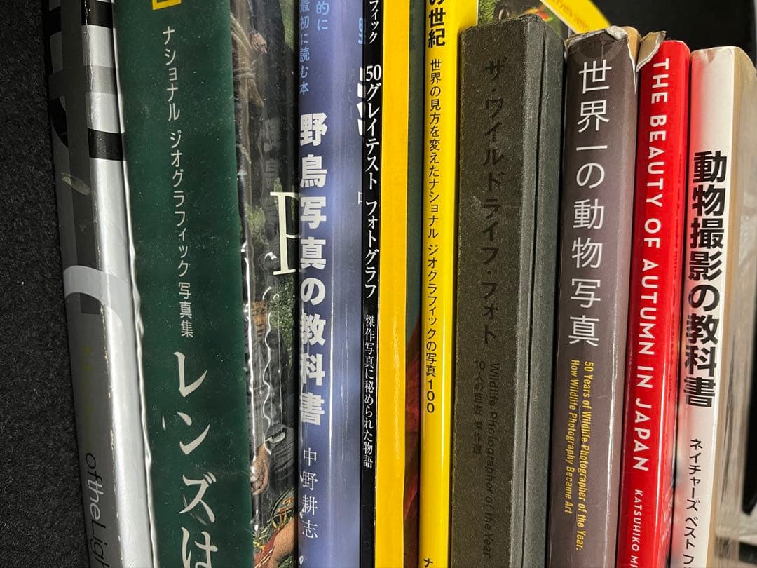 写真集 9冊 まとめ売り ナショジオ ニコン 動物写真集 野鳥写真