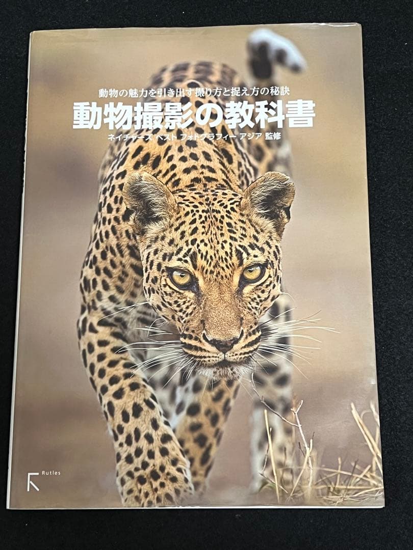 写真集 9冊 まとめ売り ナショジオ ニコン 動物写真集 野鳥写真