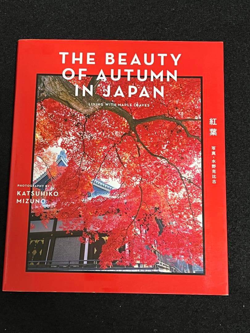 写真集 9冊 まとめ売り ナショジオ ニコン 動物写真集 野鳥写真