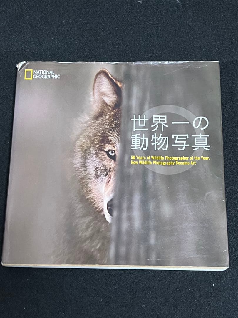 写真集 9冊 まとめ売り ナショジオ ニコン 動物写真集 野鳥写真