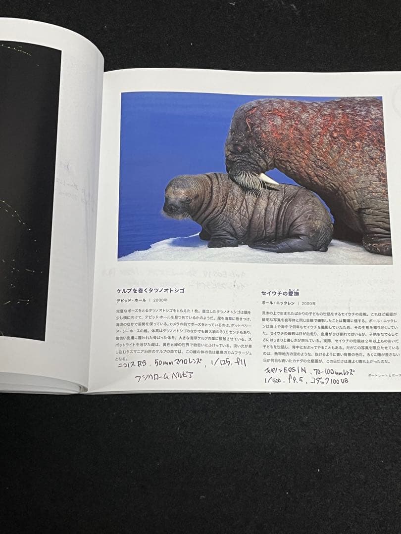 写真集 9冊 まとめ売り ナショジオ ニコン 動物写真集 野鳥写真