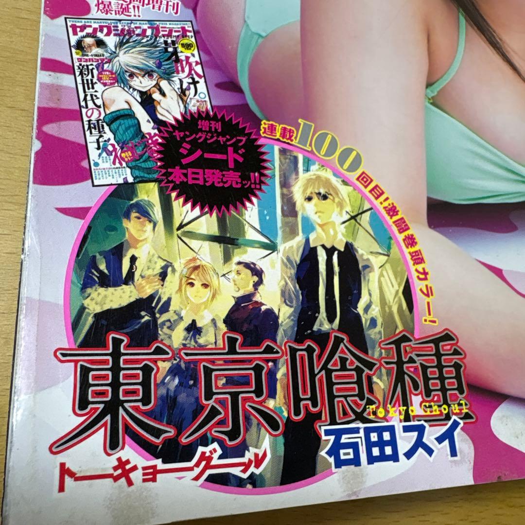 週刊ヤングジャンプ　2013年　No.47号