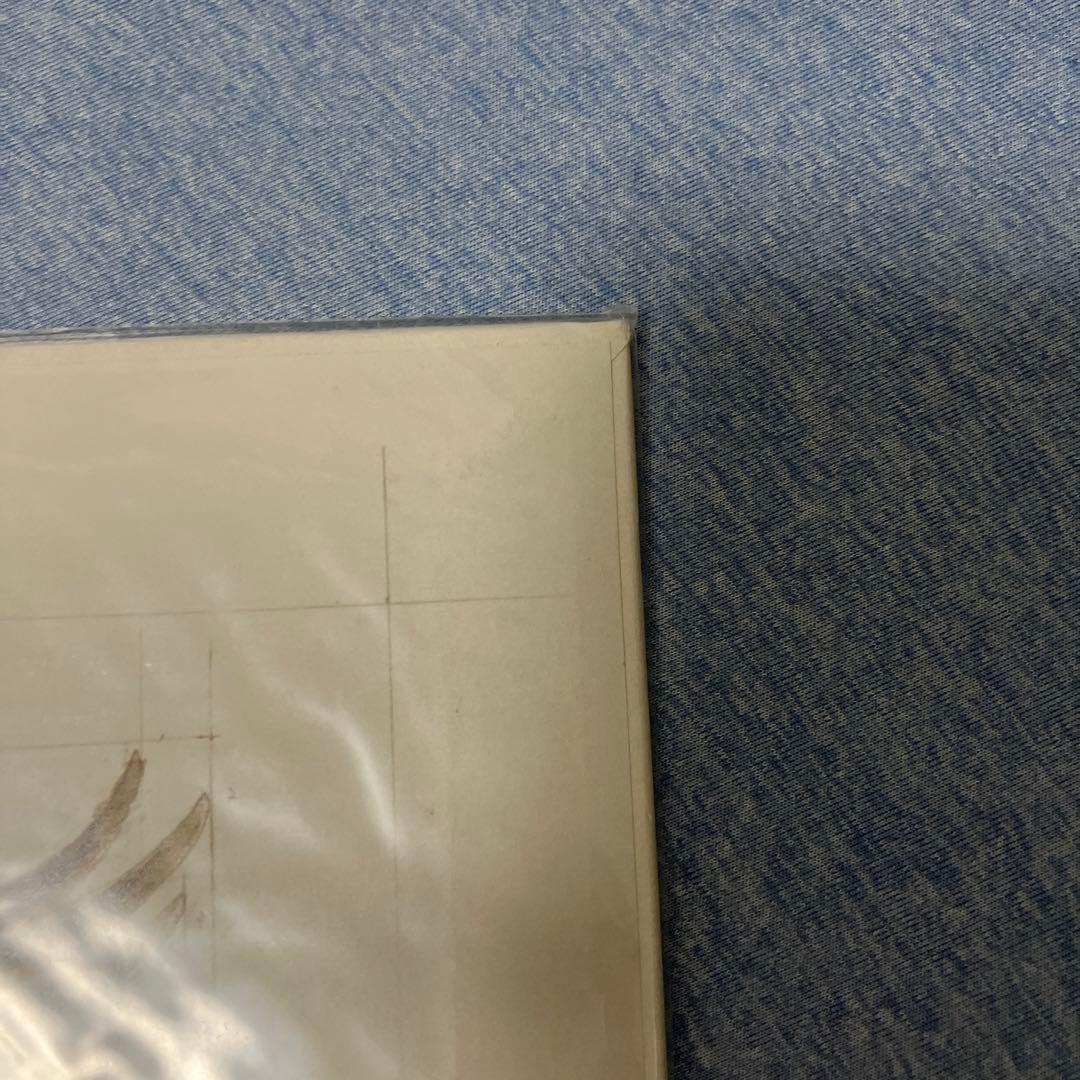 Raven 限り無く赤に近い黒 LP レコード 美品