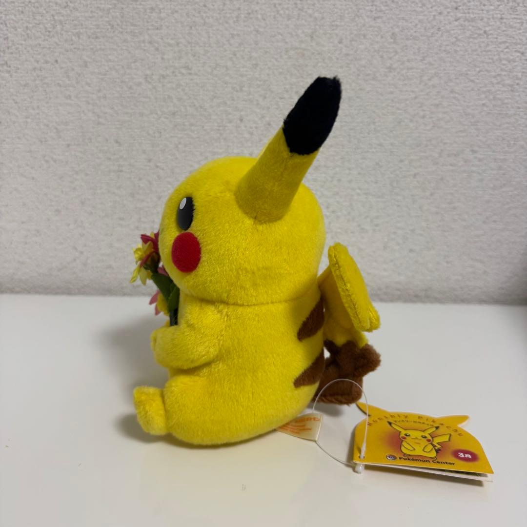 ポケモンポケットモンスターマンスリーピカチュウ2003年3月