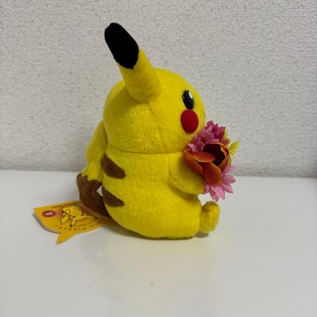 ポケモンポケットモンスターマンスリーピカチュウ2003年3月