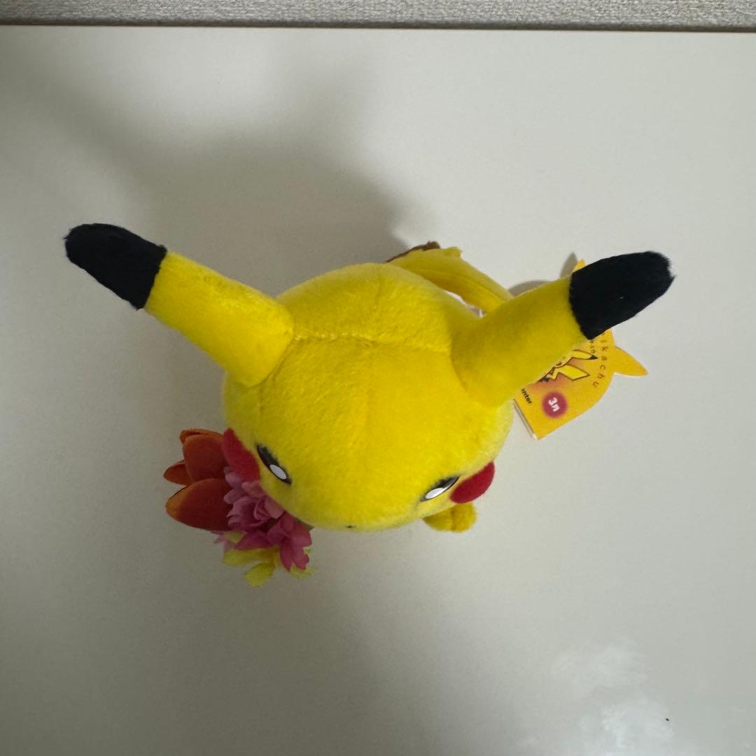 ポケモンポケットモンスターマンスリーピカチュウ2003年3月