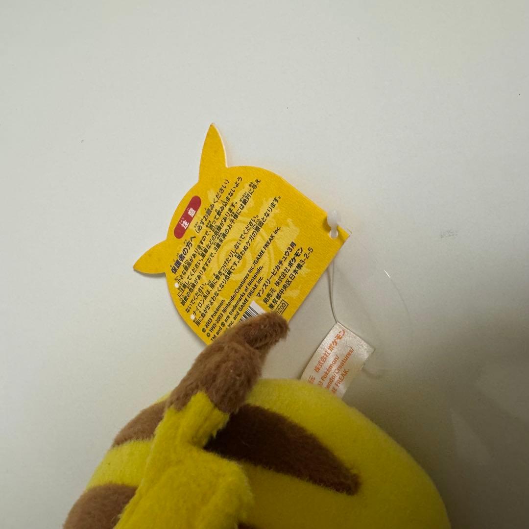 ポケモンポケットモンスターマンスリーピカチュウ2003年3月