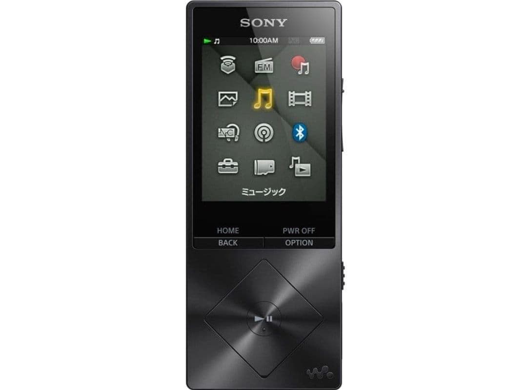 l*o様 ソニー ウォークマン NW-A16 32GB