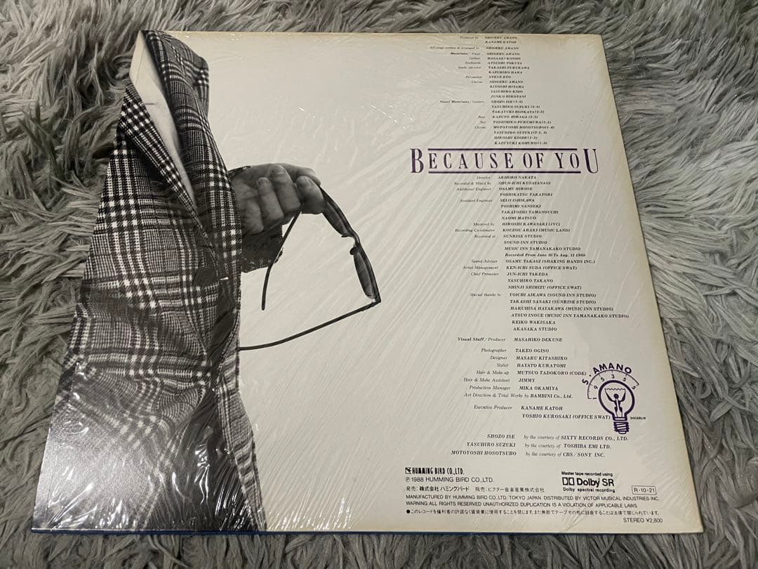 天野滋 BECAUSE OF YOU ビコーズ・オブ・ユー LP
