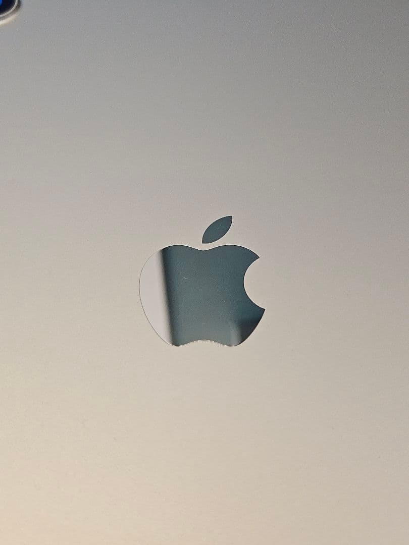 iPad mini 6 /スターライト/256GB/セルラーモデル