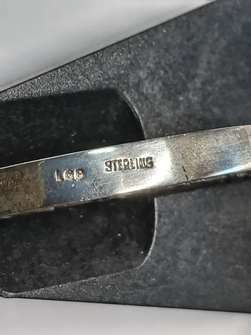 pn613 アポロ11号 月面着陸 メダル sterling silver