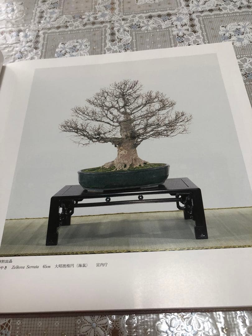 【希少品・レア】国風盆栽展 書籍セット 第69回〜第74回